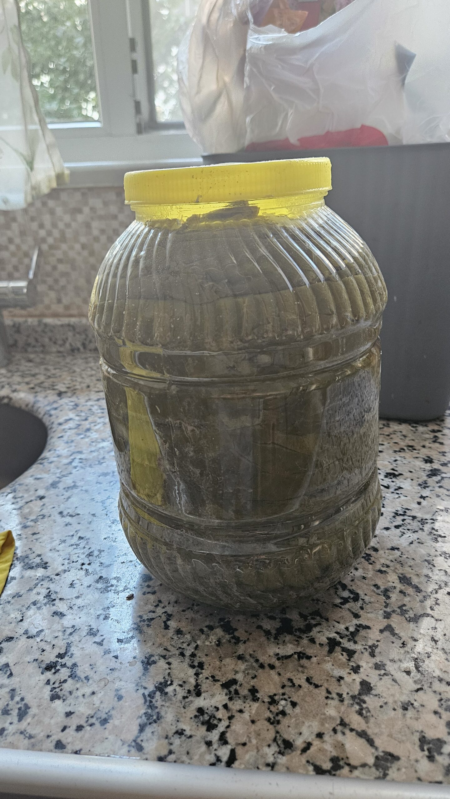 20250714 183039 scaled