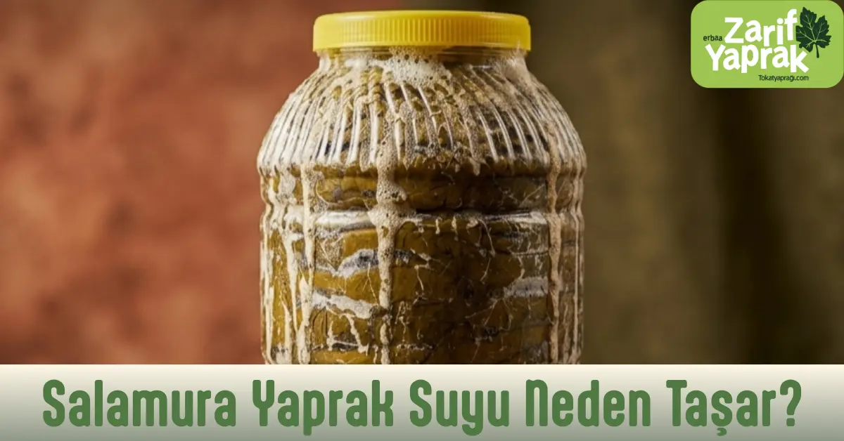 salamura yaprak suyu neden taşar sorusu için görsel
