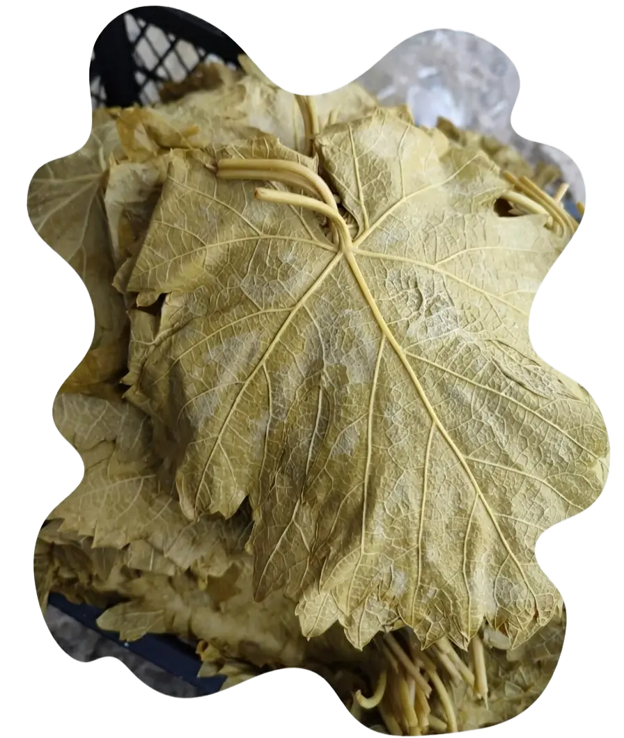 Sadece kaya tuzu ve su kullanılarak hazırlanan geleneksel Erbaa salamura asma yaprağı üretimi.