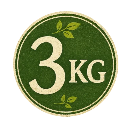 Zarif Yaprak 3 Kg Erbaa Asma Yaprağı Varyasyon icon