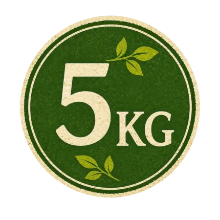 Zarif Yaprak 5 Kg Erbaa Asma Yaprağı Varyasyon icon