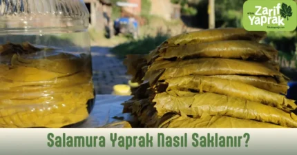 Salamura yaprak nasıl saklanır rehberi