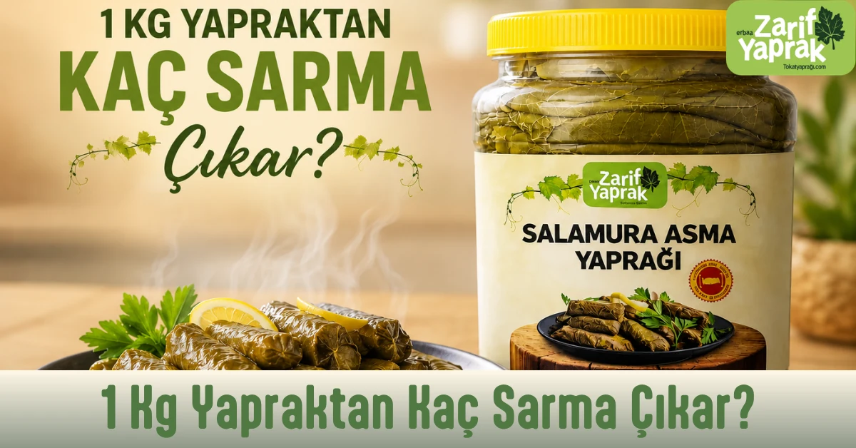 1 kg ince Erbaa yaprağından ortalama 90–110 sarma çıkar.