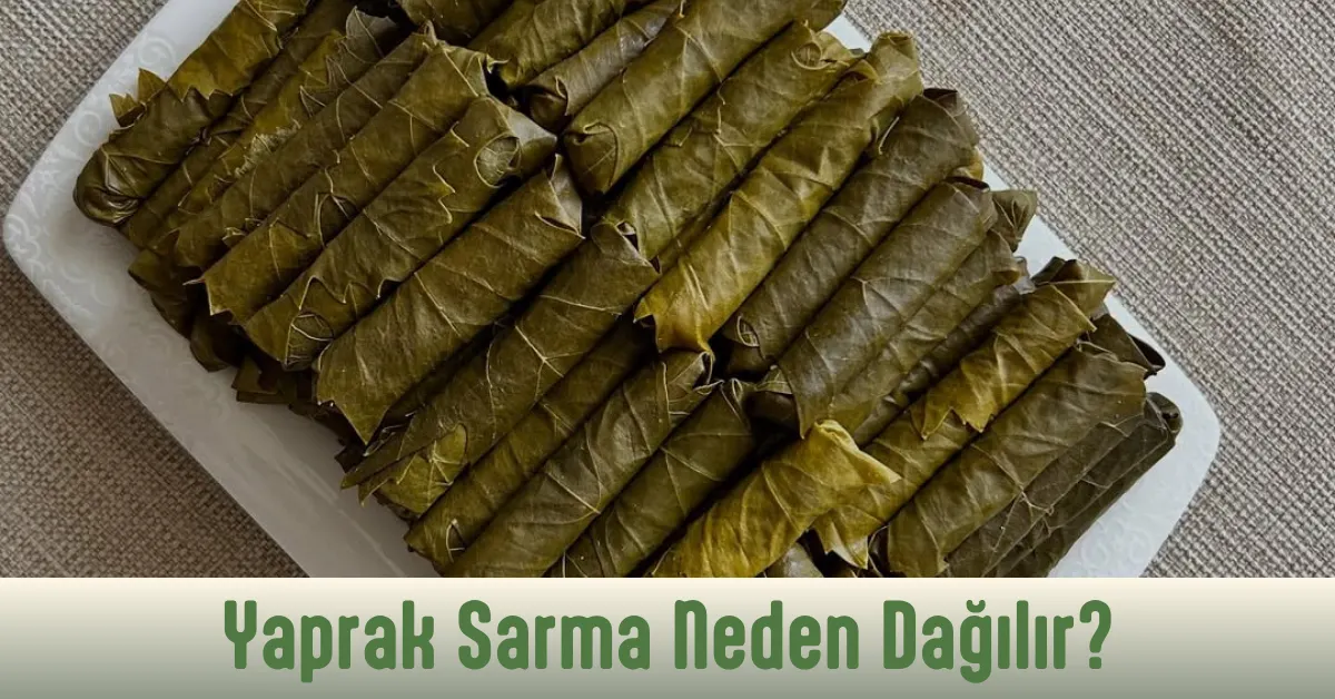 yaprak sarma neden dağılır sorusuna cevap veren yazı.
