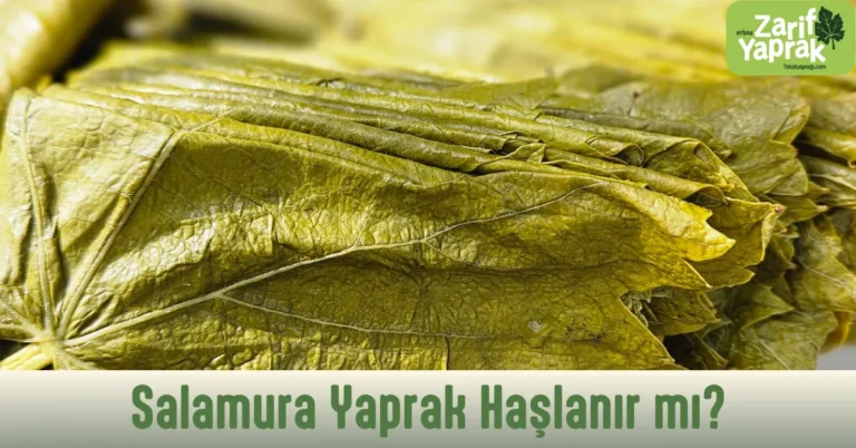 Salamura yaprak haşlanır mı sorusunun cevabı yaprağın inceliğinde gizli: ince Narince yaprağı haşlama gerektirmez.