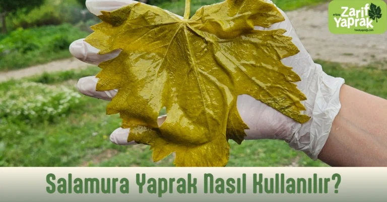 salamura yaprak nasıl kullanılır