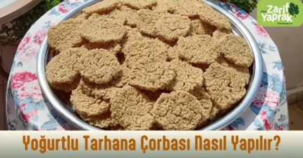 Yoğurtlu tarhana çorbası