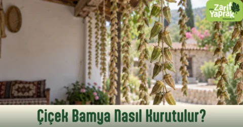 Taşova'da sundurma altında ipe dizili asılarak gölgede kurutulan çiçek bamya