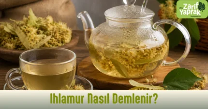 Cam demlikte demlenen ıhlamur ve bardağa süzülmüş ıhlamur çayı