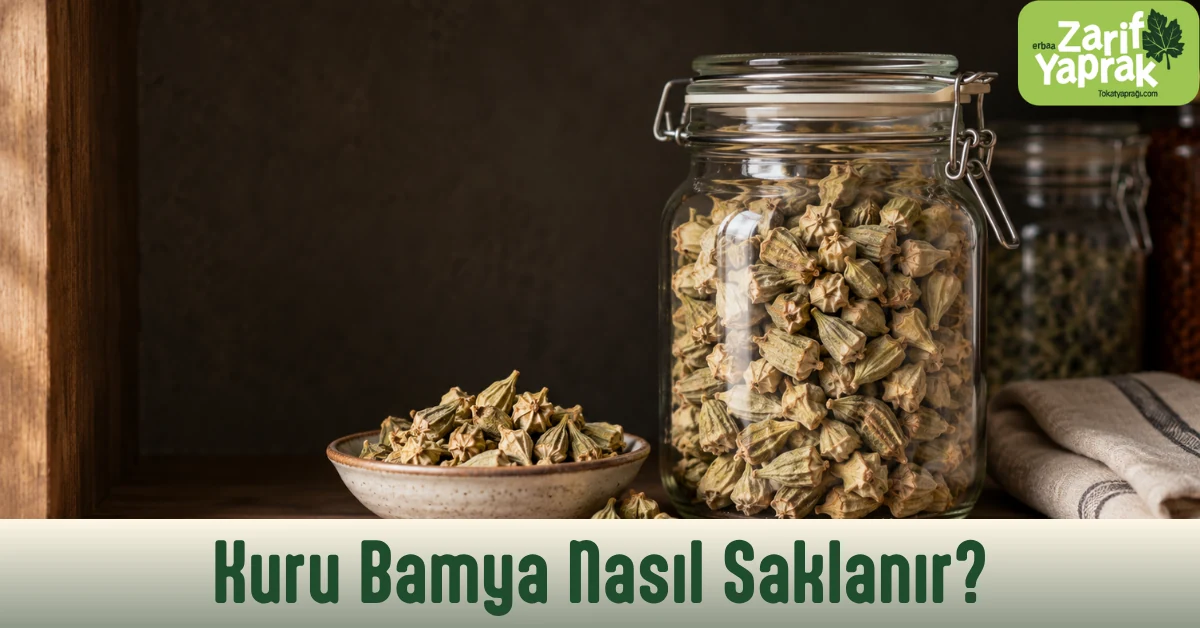 Kapaklı cam kavanozda saklanan kuru çiçek bamya ve yanında seramik kâsede bamya taneleri