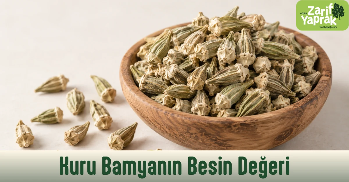 Ahşap kâsede kuru çiçek bamya taneleri, besin değeri ve lif içeriği konulu içerik görseli