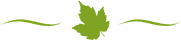 tokatyapragiayir-1-1-1-1-1-1.png