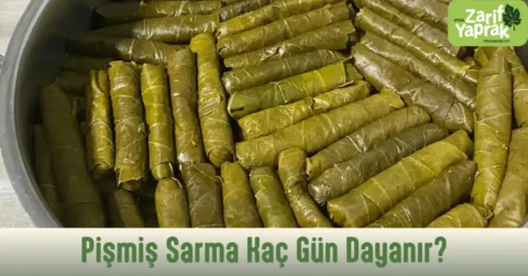 Tencereye sıkıca dizilmiş pişmiş zeytinyağlı yaprak sarmaları