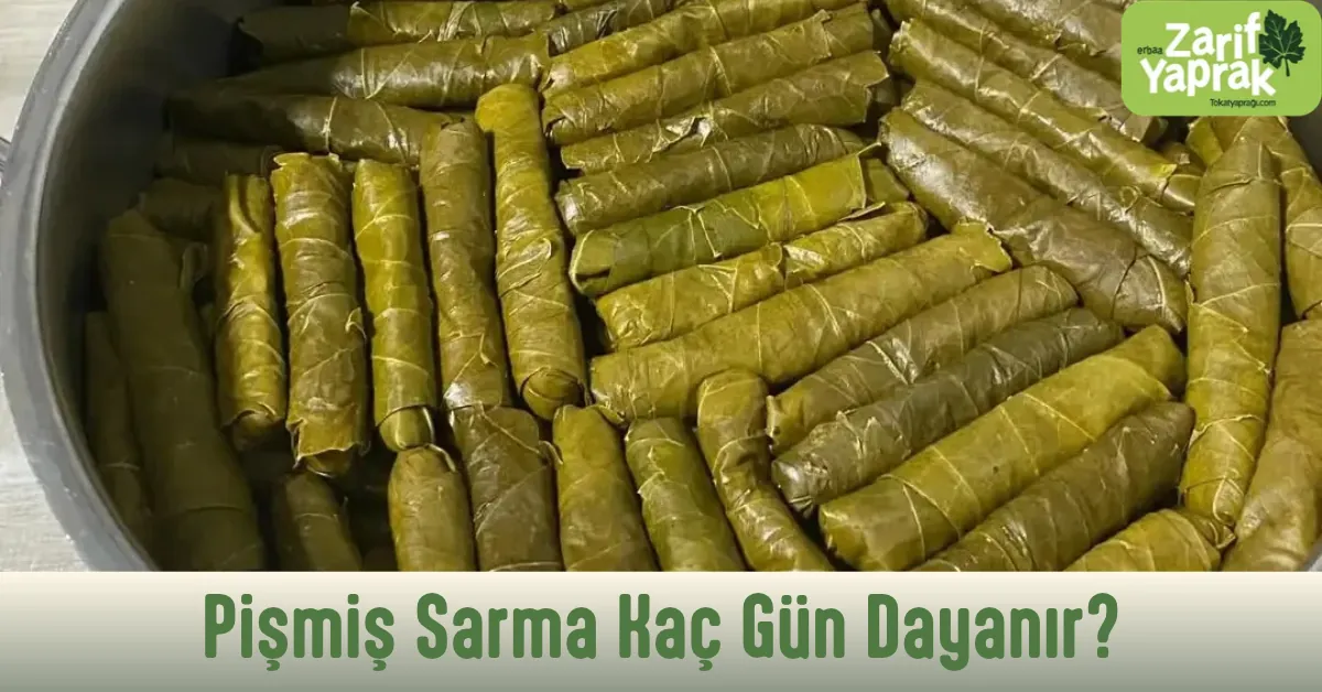 Tencereye sıkıca dizilmiş pişmiş zeytinyağlı yaprak sarmaları